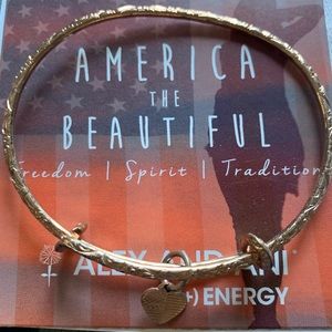 🎉HP Ltd Edition America the Beautiful Alex & Ani